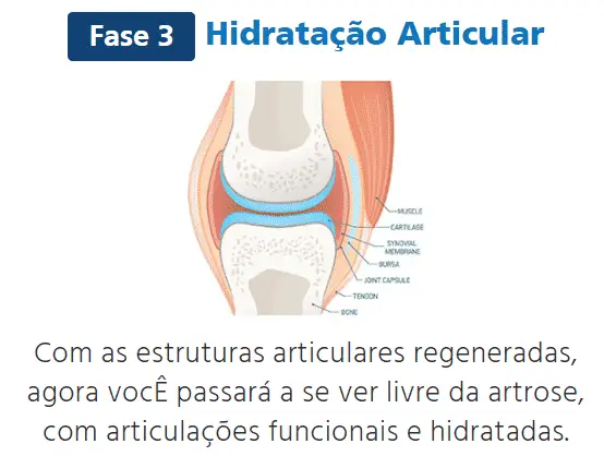 Instaflex Articular hidratação articular